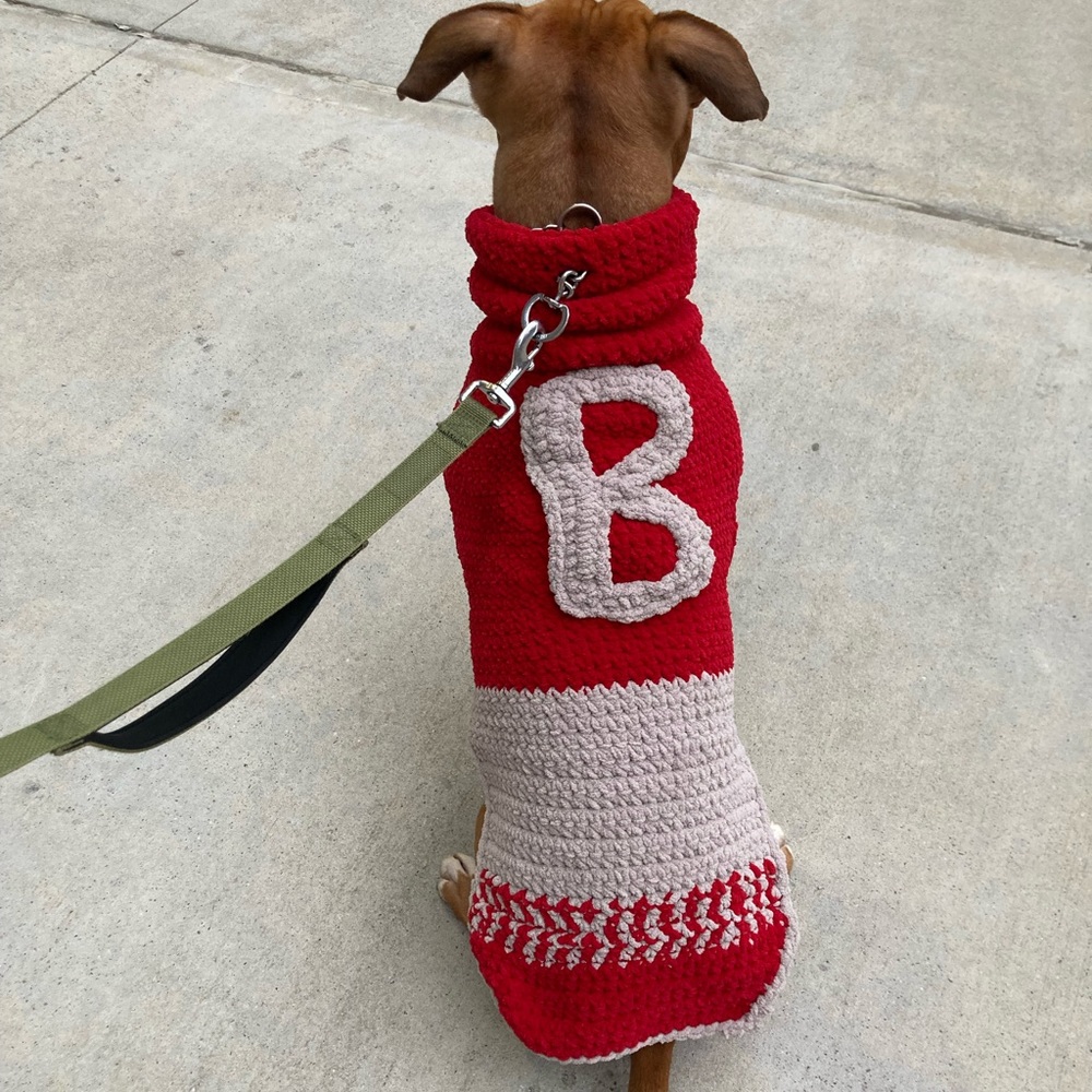 Dog sweater- “Varsity”